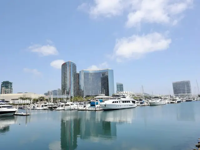 Sunny Vibes and Coastal Charm in San Diego