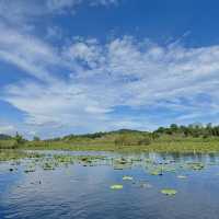 สวนพฤกษศาสตร์ระยอง 🏞️