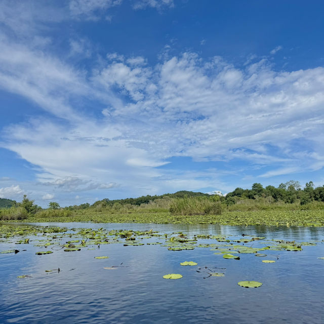 สวนพฤกษศาสตร์ระยอง 🏞️