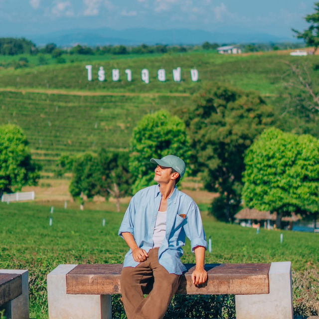 ไร่ชาฉุยฟง ใครมาเชียงรายต้องห้ามพลาด 🌱✨