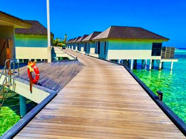 Le Méridien Maldives Resort & Spa — Where Creativity Meets Conservation Le Méridien Maldives Resort & Spa — Where Creativity Meets Conservation