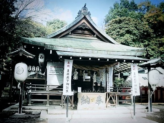 The Oldest Guardian: My Solo Visit to Inuyama Castle, Aichi