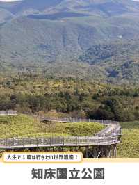 【北海道】世界自然遺産・知床で巡る絶景5選🌊🌲