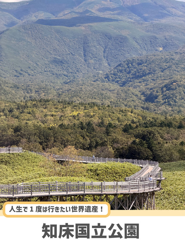 【北海道】世界自然遺産・知床で巡る絶景5選🌊🌲 【北海道】世界自然遺産・知床で巡る絶景5選🌊🌲