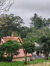 Cornwall Park, Auckland: Where History Meets Nature