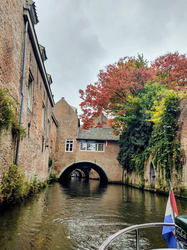 🇳🇱 荷蘭小城 Den Bosch 一日遊｜市集、遊船、甜點，一次滿足！🛶🧀 