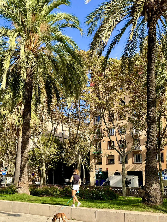 🇪🇸스페인 바르셀로나 자유여행 Day 2(1)