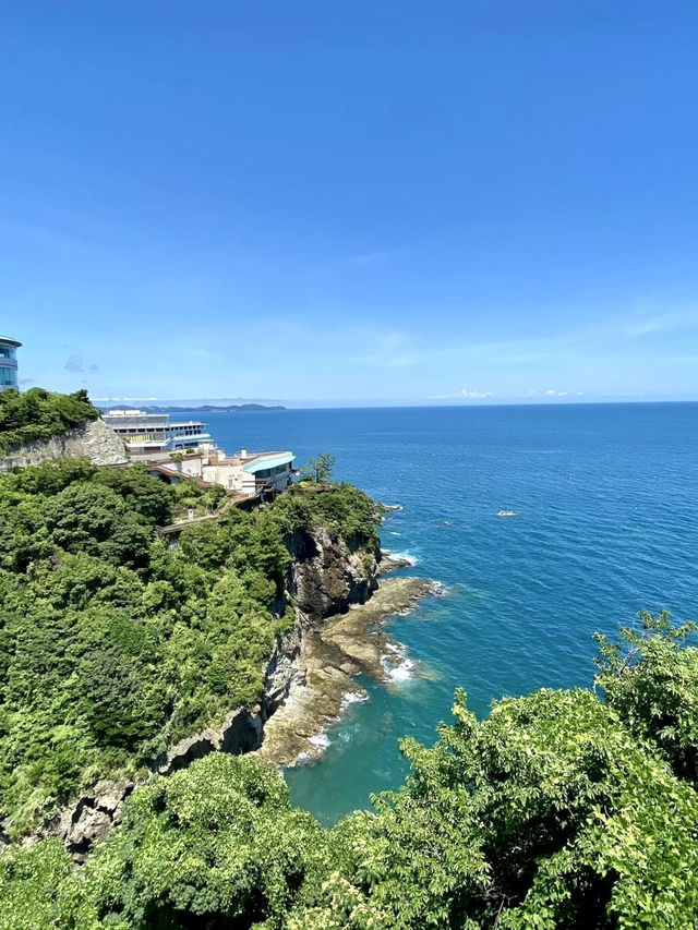 🌺 Ocean Views & Sweet Treats at Hana no Yosei, Atami