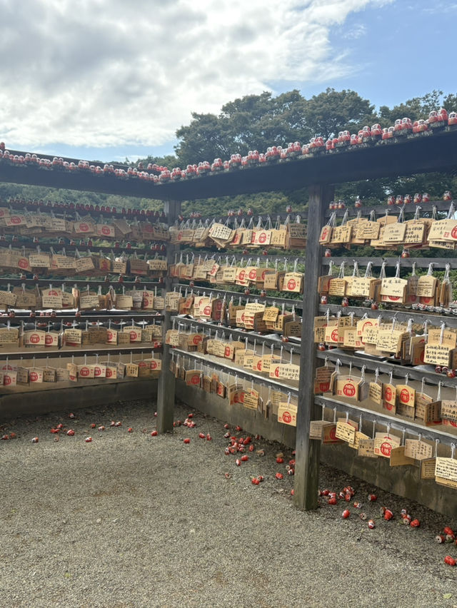 Katsuoji 勝尾寺 Katsuoji 勝尾寺