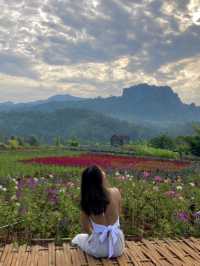 ไร่ภูผาหมวก : โฮมสเตย์เชียงใหม่กลางหุบเขาดอกไม้