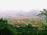 The Majestic Wanfenglin and the Mysterious Bagua Field