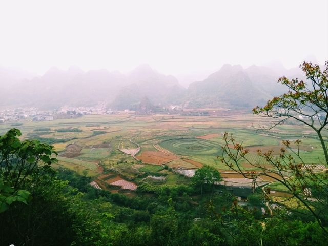 The Majestic Wanfenglin and the Mysterious Bagua Field