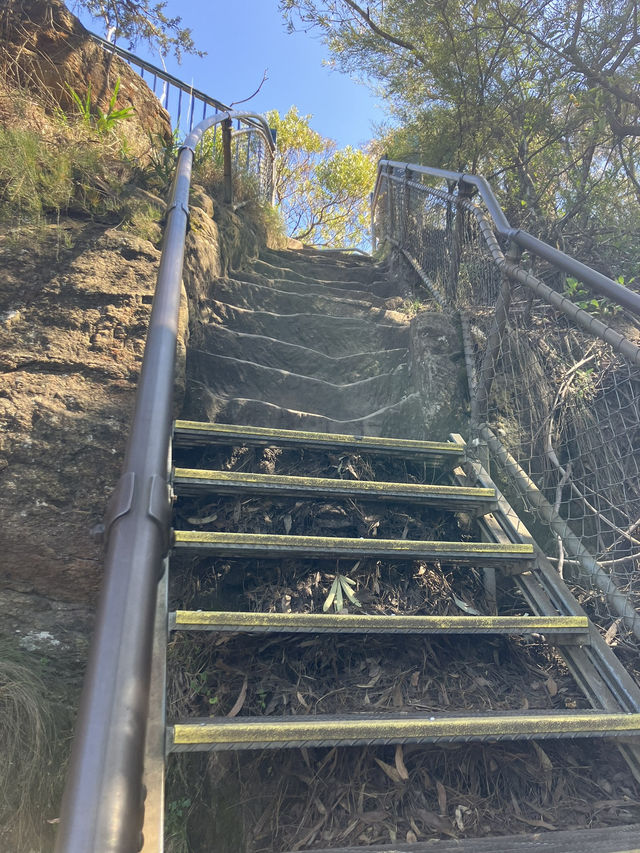 【オーストラリア・ニューサウスウェールズ州】大自然の絶景を感じる「ブルー・マウンテンズ」🏞️🌿🌄