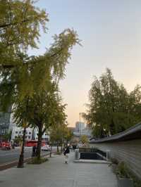 รีวิว Gyeongbokgung Palace