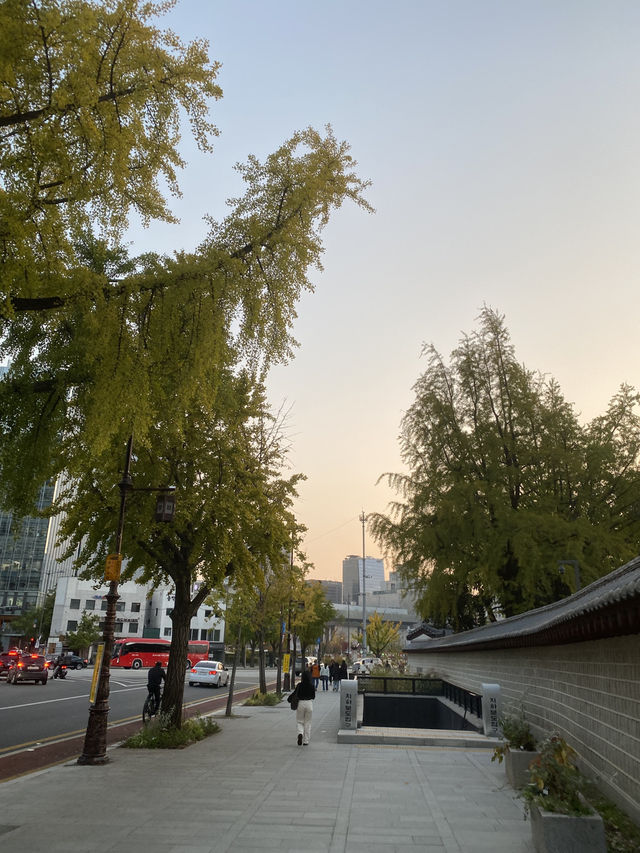 รีวิว Gyeongbokgung Palace
