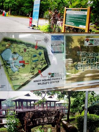 NAPWC: ケソン市の野生動物保護区とオアシス