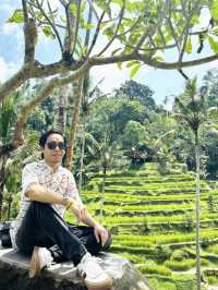 Terrace Tranquil🌾