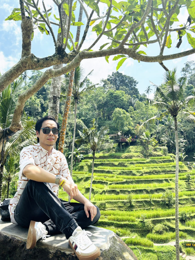 Terrace Tranquil🌾 Terrace Tranquil🌾