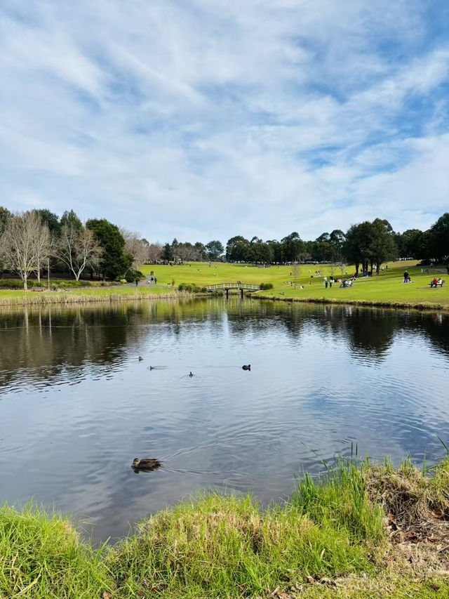 🌿悉尼北區秘境一日遊|離城市最近的「世界公園」 🌿悉尼北區秘境一日遊|離城市最近的「世界公園」