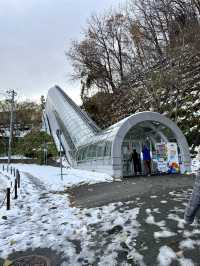 Breathtaking Views from the Ski Jump Tower ❄️