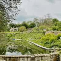 Where History Meets Horticulture: A Family Adventure at Caisson Gardens