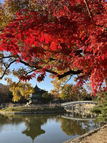 秋天必去的宮殿