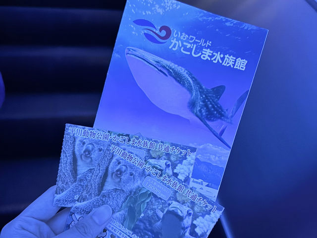 桜島も見える！ロケーション最高の水族館