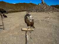 🏞️ 광활한 몽골 테렐지에서 느낀 자연의 숨결