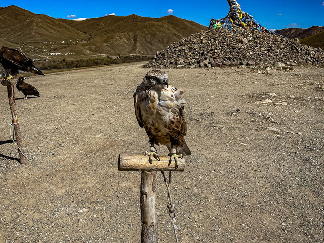 🏞️ 광활한 몽골 테렐지에서 느낀 자연의 숨결