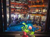 majestic night view of yu garden