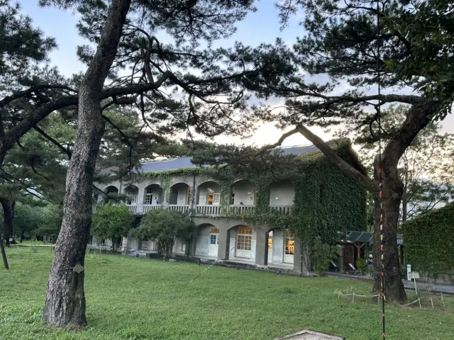 Hualien Pine Garden｜An Afternoon Enjoying the Sea Breeze in a Historic Japanese Building