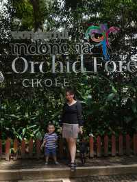 Orchid Forest cikole