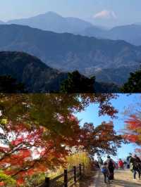 東京後花園｜高尾山｜闖入絕美紅葉油畫世界🍁