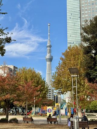 도쿄 스카이트리와 함께하는 다채로운 놀이터 풍경