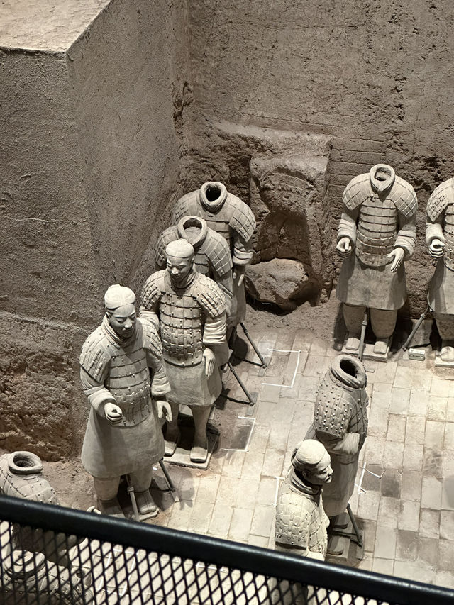 Qin’s Eternal Army✨