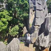 Walking Through a Stone Wonderland
