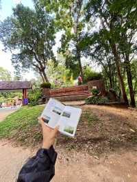 ดอยขุนตาล จ.ลำพูน #ดอยขุนตาล