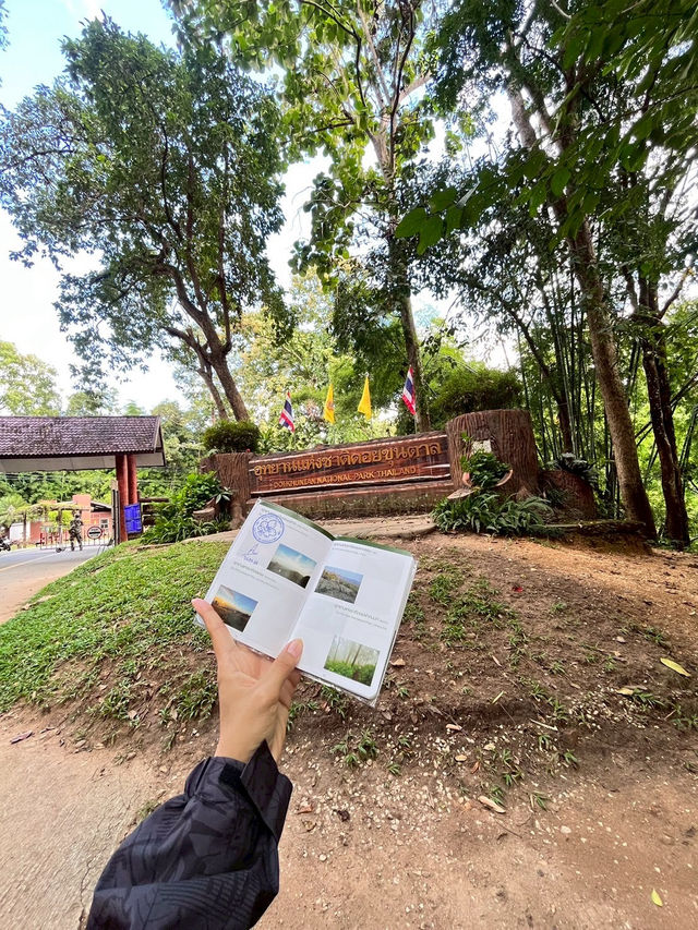 ดอยขุนตาล จ.ลำพูน #ดอยขุนตาล ดอยขุนตาล จ.ลำพูน #ดอยขุนตาล