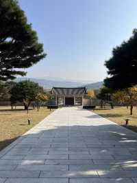 경주 은행나무 포토존 유적지