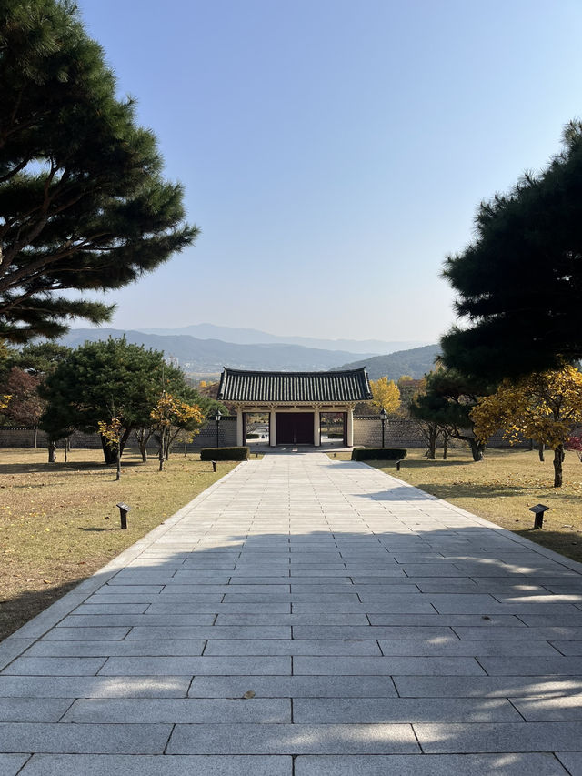 경주 은행나무 포토존 유적지 경주 은행나무 포토존 유적지