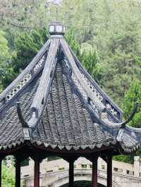 Shanghai: Zuibaichi Park Views🌿🪷