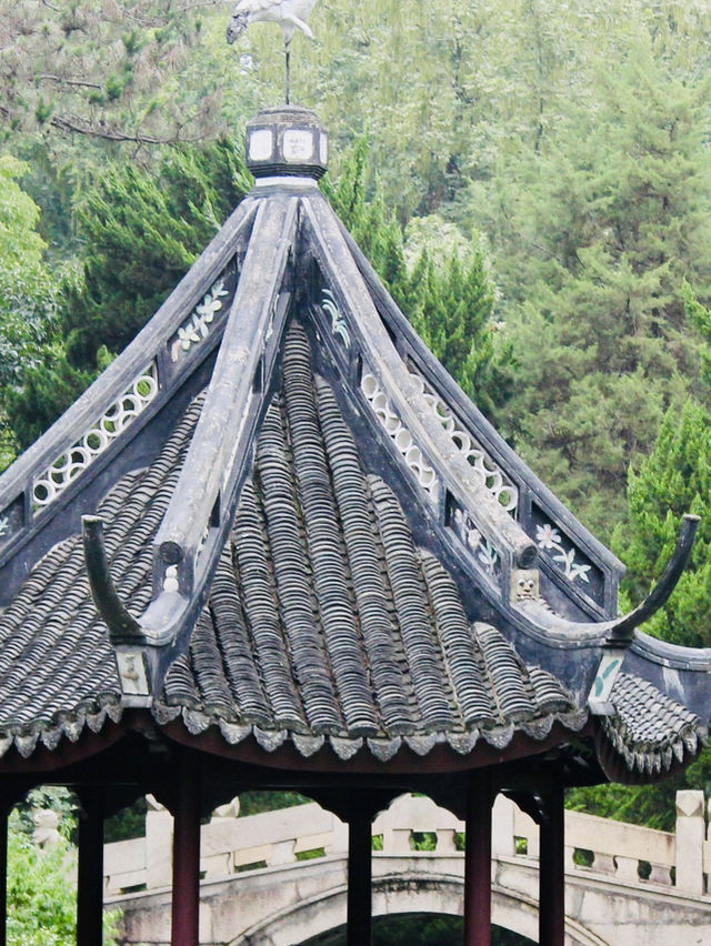 Shanghai: Zuibaichi Park Views🌿🪷 Shanghai: Zuibaichi Park Views🌿🪷