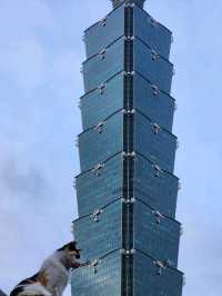 Urban Vibes & Vintage Feels 🌆✨