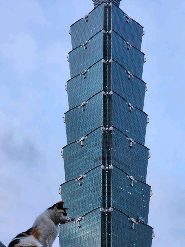 Urban Vibes & Vintage Feels 🌆✨ Urban Vibes & Vintage Feels 🌆✨