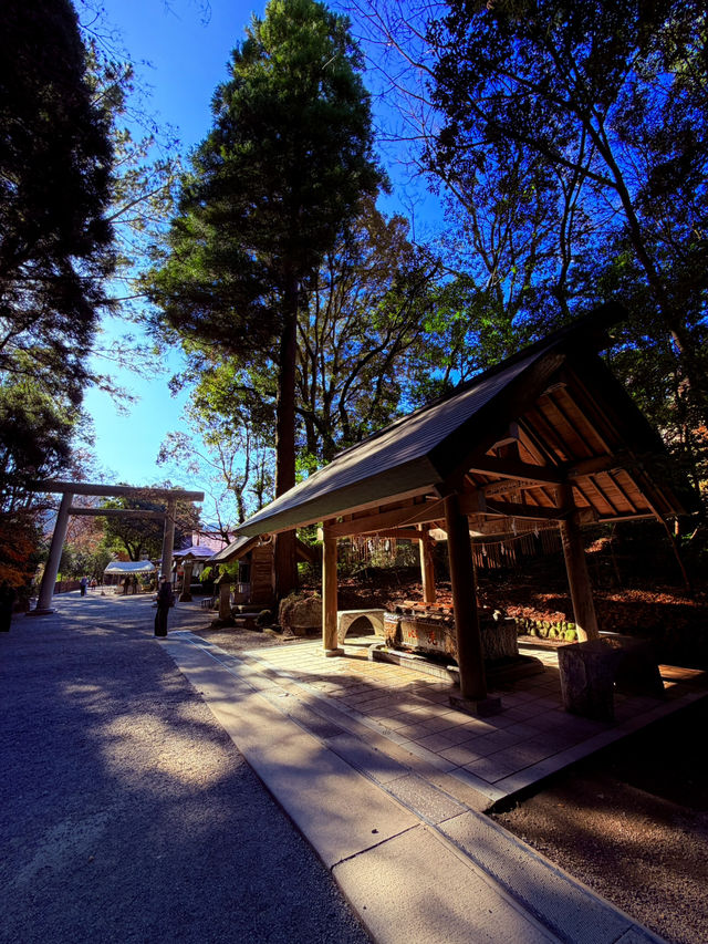 天岩戶神社 天岩戶神社