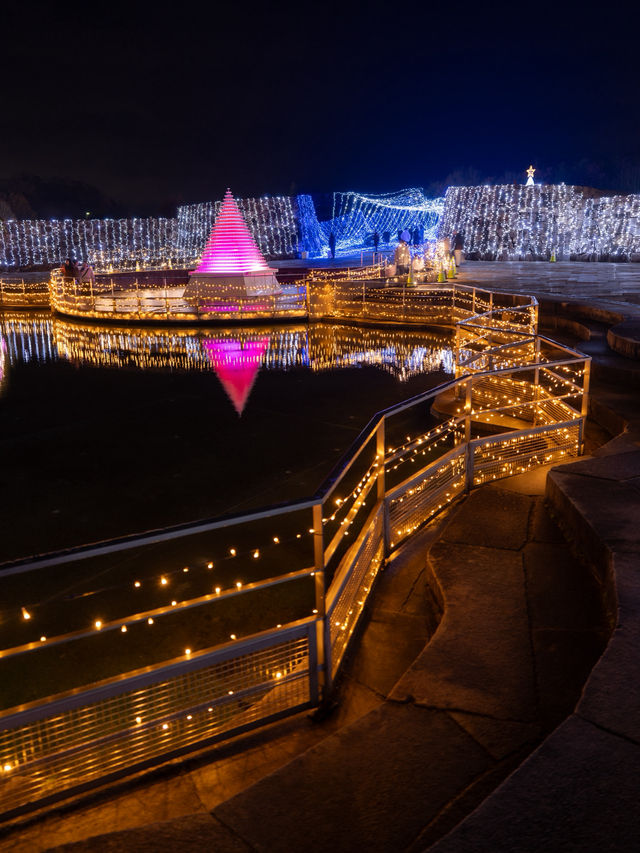 え？四国最大級のイルミネーションがたったの450円？！！まんのう公園のイルミネーション2025