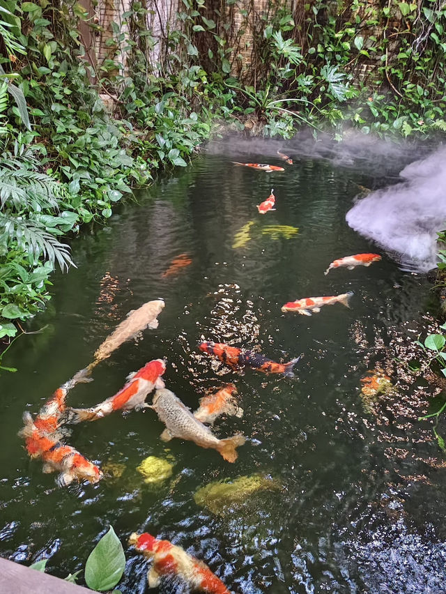 一秒穿越江南水鄉💕荷蘭花卉小鎮(水一方茶館)錦鯉茶館禪意十足 一秒穿越江南水鄉💕荷蘭花卉小鎮(水一方茶館)錦鯉茶館禪意十足