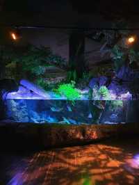 SEA LIFE  ย้อนวัยเด็กที่อควาเรียมกลางกรุง 🐠🪼🪸