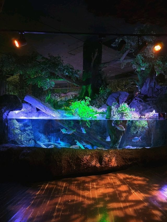 SEA LIFE  ย้อนวัยเด็กที่อควาเรียมกลางกรุง 🐠🪼🪸