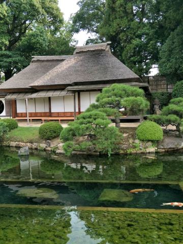 2026年 岡山後楽園お花見おすすめ| Trip Moments